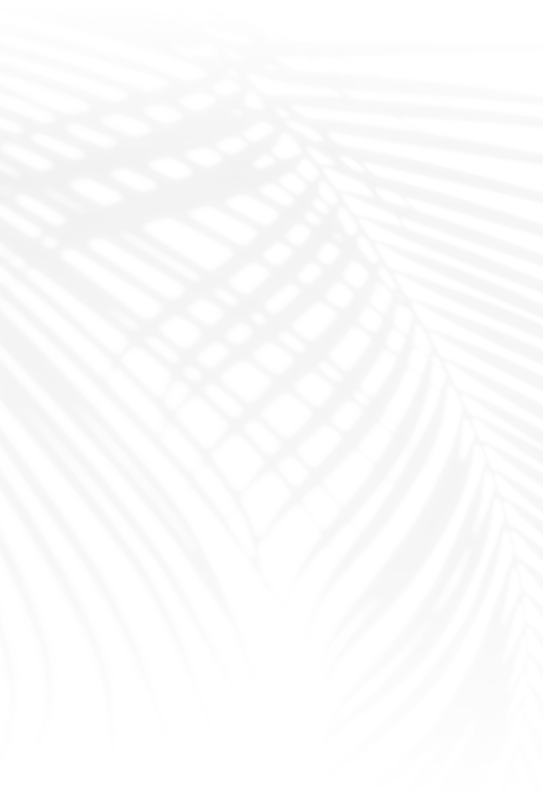 Shadows of palm leaves on a white background