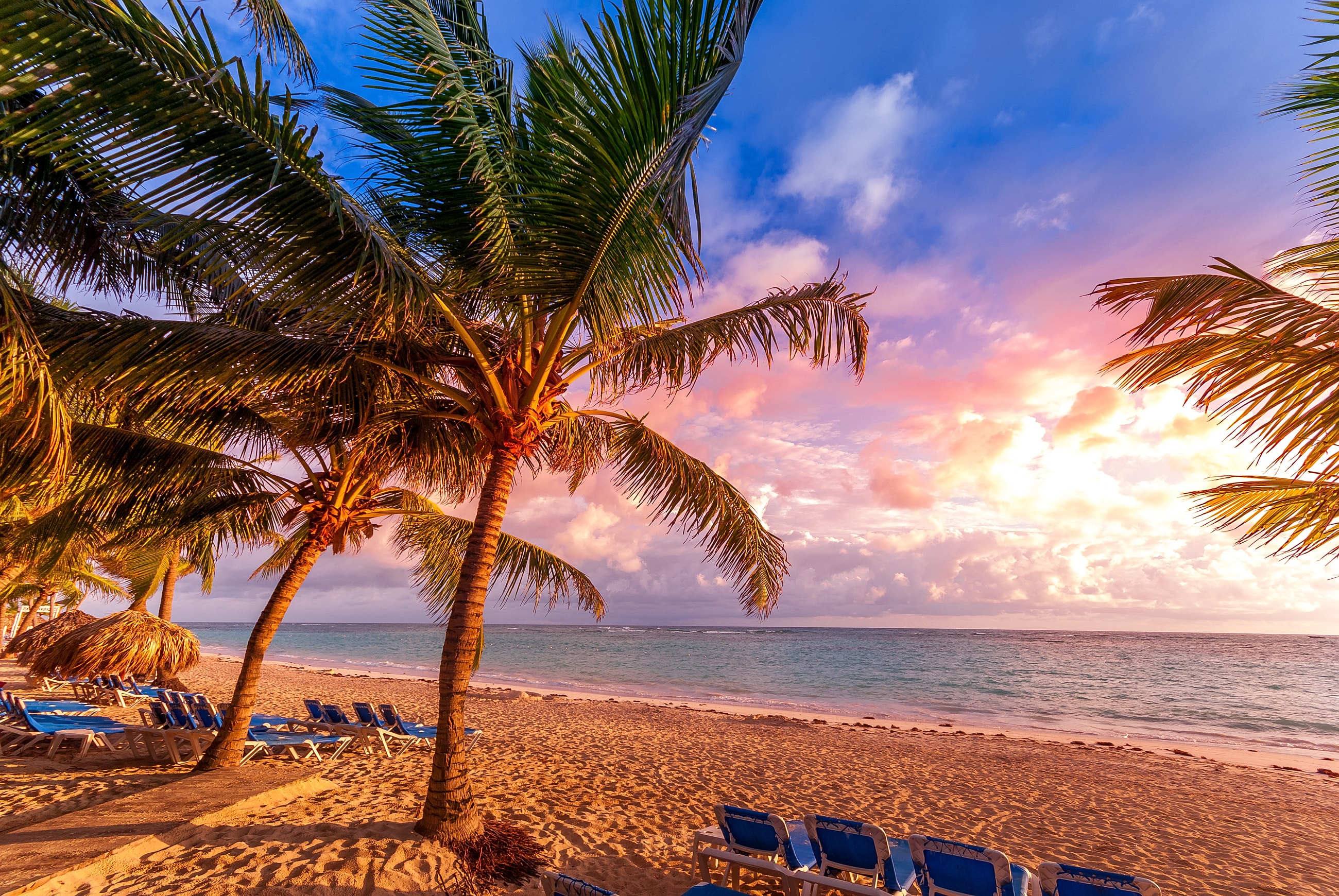 Vero beach with palm trees at sunrise